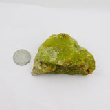 940.65 Ct CERTIFIED Natural Green Opal Rough Uncut Raw Earth Mined Raw Gemstone