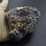 CERTIFIED 550.2 Ct Natural Red Amber Uncut Raw Loose Gemstone Rough Best Quality