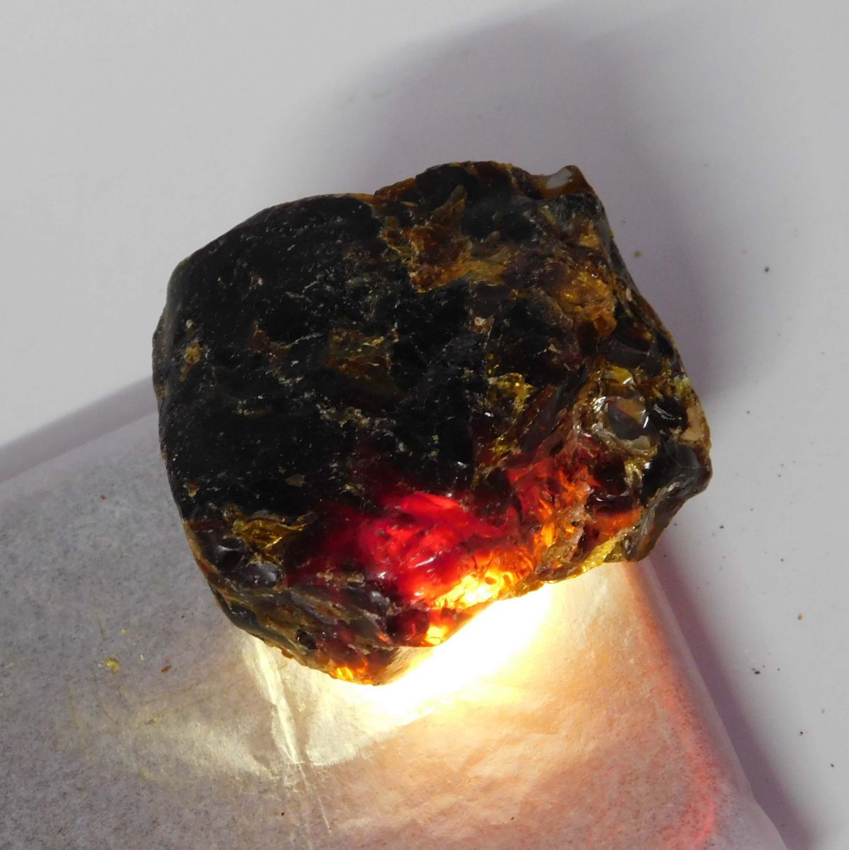 214.23 Ct Natural Uncut Amber Rough Orange CERTIFIED Excellent Loose Gemstone