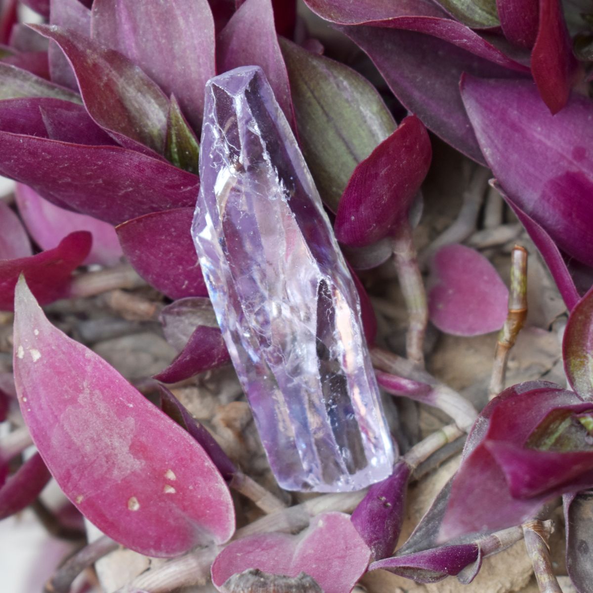 212.23 Carat Natural Raw White Zircon Uncut loose gemstone Top Quality Zircon
Success
Active