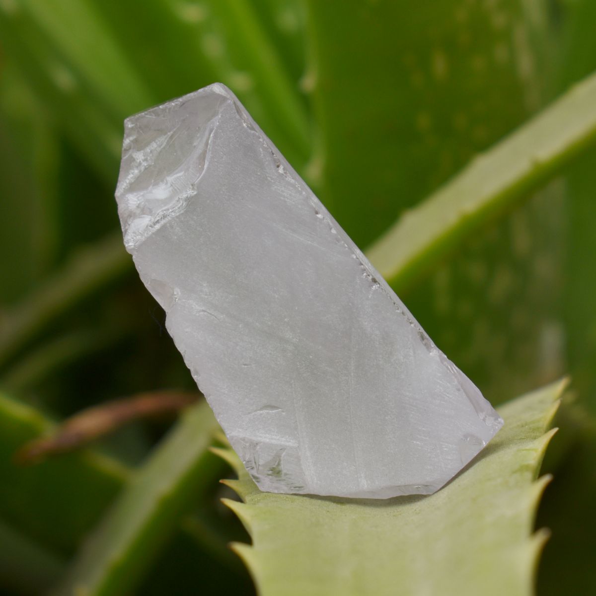 Certified White Zircon Uncut White Rough Zircon Loose Gemstone 217.75 Ct Natural