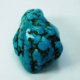 Turquoise stone with black patterns on a white background
