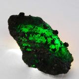 Extra Large Natural Green Emerald Uncut Rough 66.13 Ct CERTIFIED Gemstone