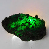 Extra Large Natural Green Emerald Uncut Rough 66.13 Ct CERTIFIED Gemstone