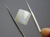 8.56 Ct Natural Cabochon Shape Certified Ring Size Moonstone Loose Gemstones