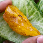 Yellow Uncut Rough 250 Ct Natural Sapphire Stone Raw Stone CERTIFIED Gemstone