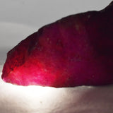Natural Uncut Pink Sapphire 1180.45 Ct Raw Rough Loose Gemstone CERTIFIED