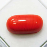 natural coral loose gemstone