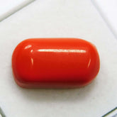 natural coral loose gemstone