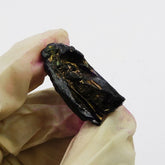 CERTIFIED Tanzanite Rough 42.45 Ct Purple Uncut Natural Earth Mined Gemstone