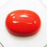 coral for sale online