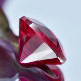 Close-up of a red gemstone with a blurred background