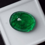 Oval Shape Green Emerald 8.50 Ct placed on a solid white box – Loose Colombian Gemstone