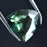 Trillion-cut deep green sapphire, 5.50 carats, a natural loose gemstone.