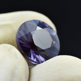 8.90 Carat Round Alexandrite Held by Two Fingers Wearing Gloves – Certified Color-Change Gem