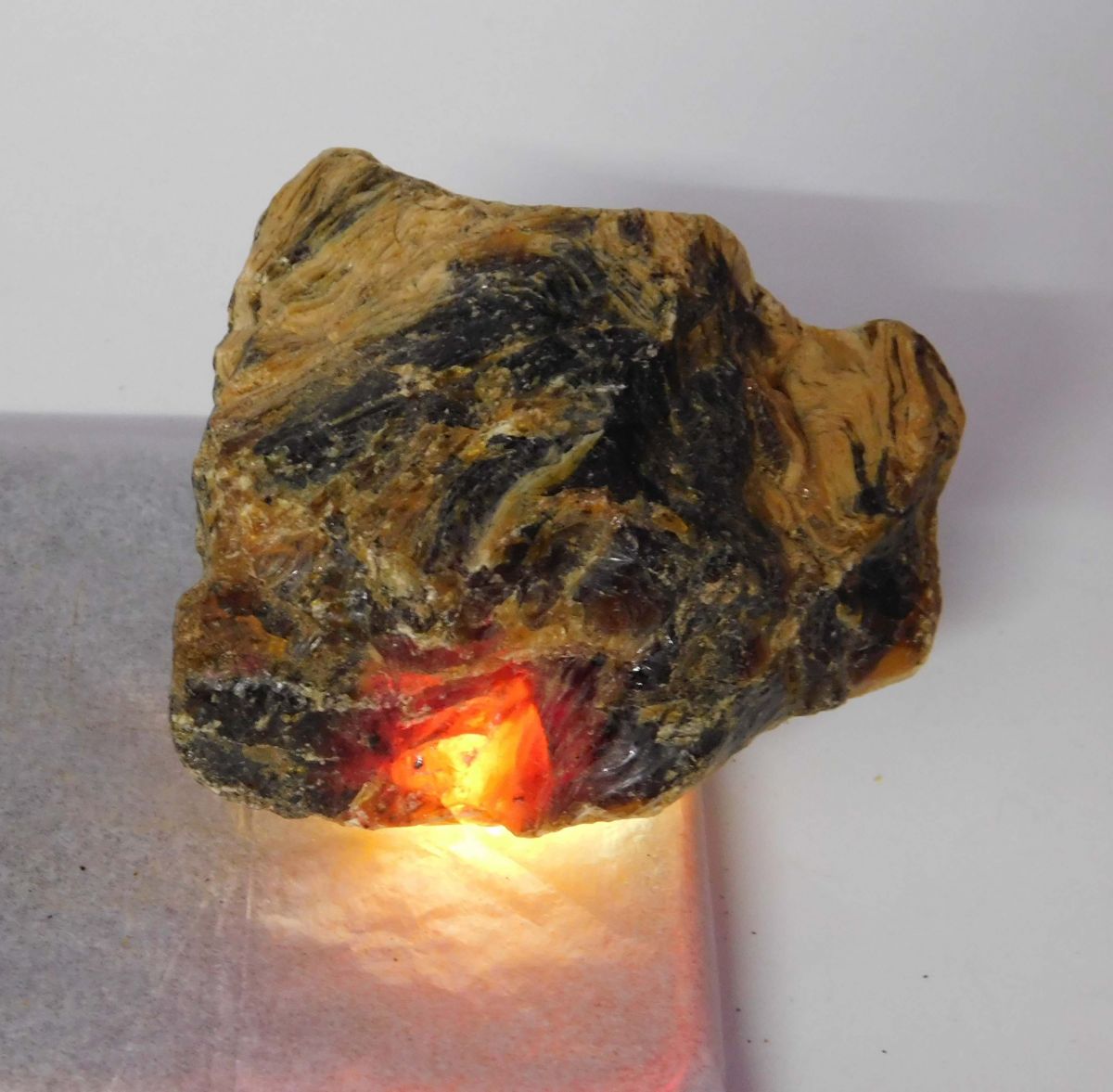 Natural Orange Amber Uncut Rough 300.85 Carat CERTIFIED Rare Loose Gemstone