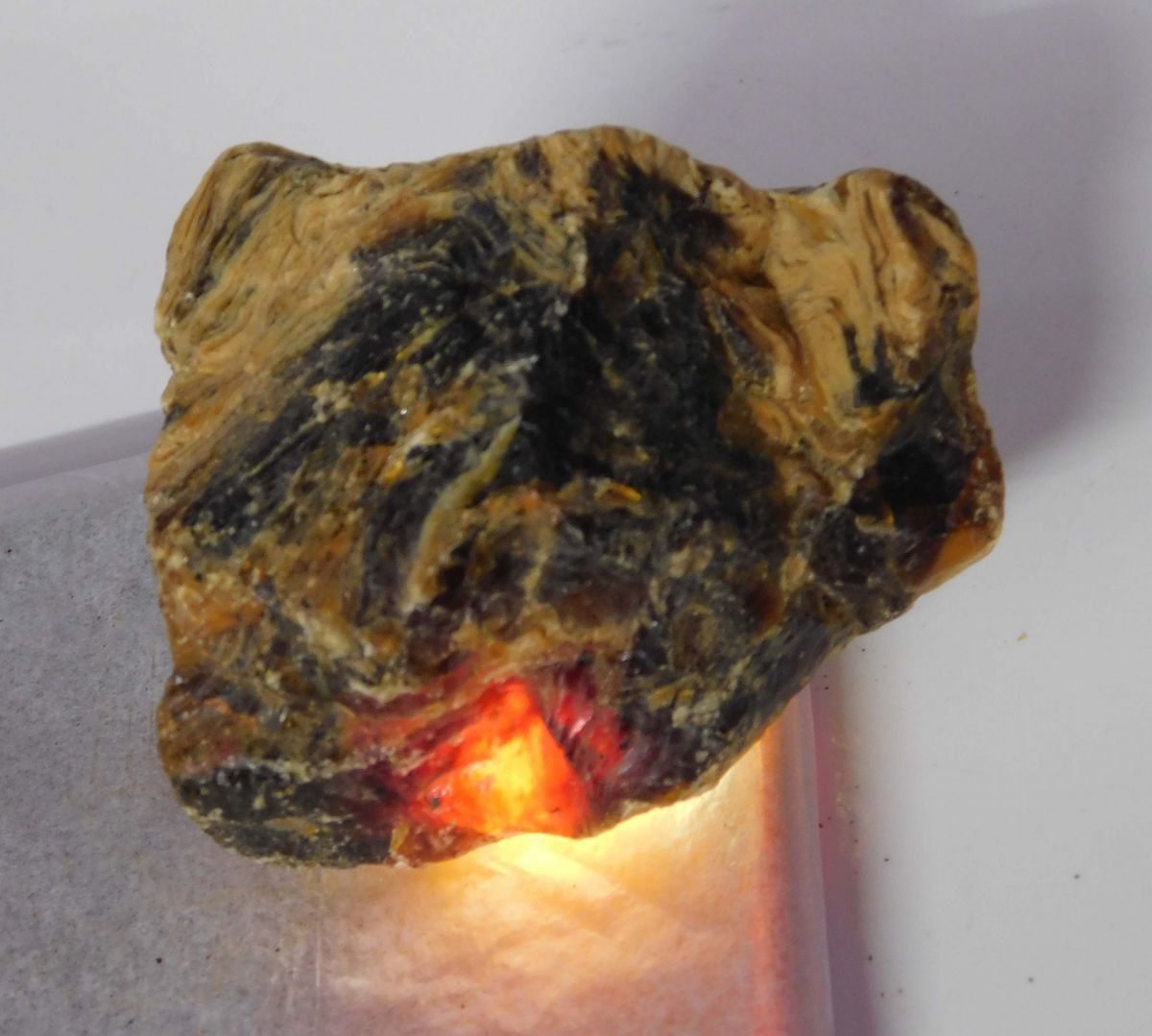 Natural Orange Amber Uncut Rough 300.85 Carat CERTIFIED Rare Loose Gemstone