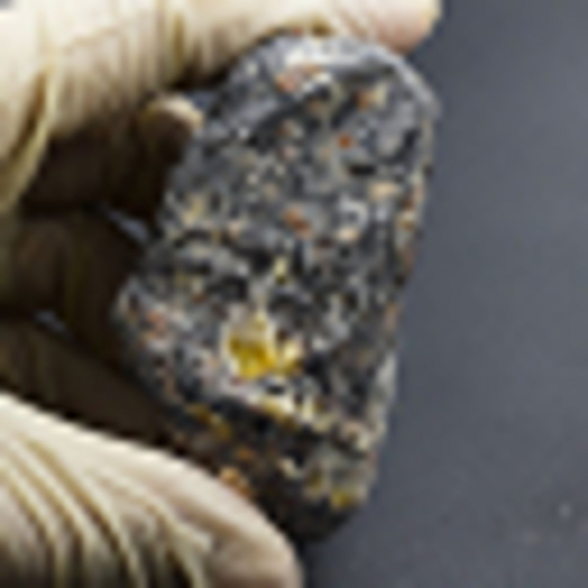 Natural Red Amber Gemstone Rough 268.52 Ct Uncut CERTIFIED Raw Loose Gemstone