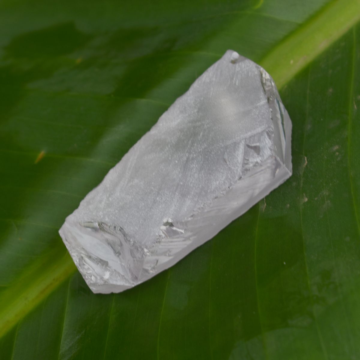 Certified White Zircon Uncut White Rough Zircon Loose Gemstone 217.75 Ct Natural