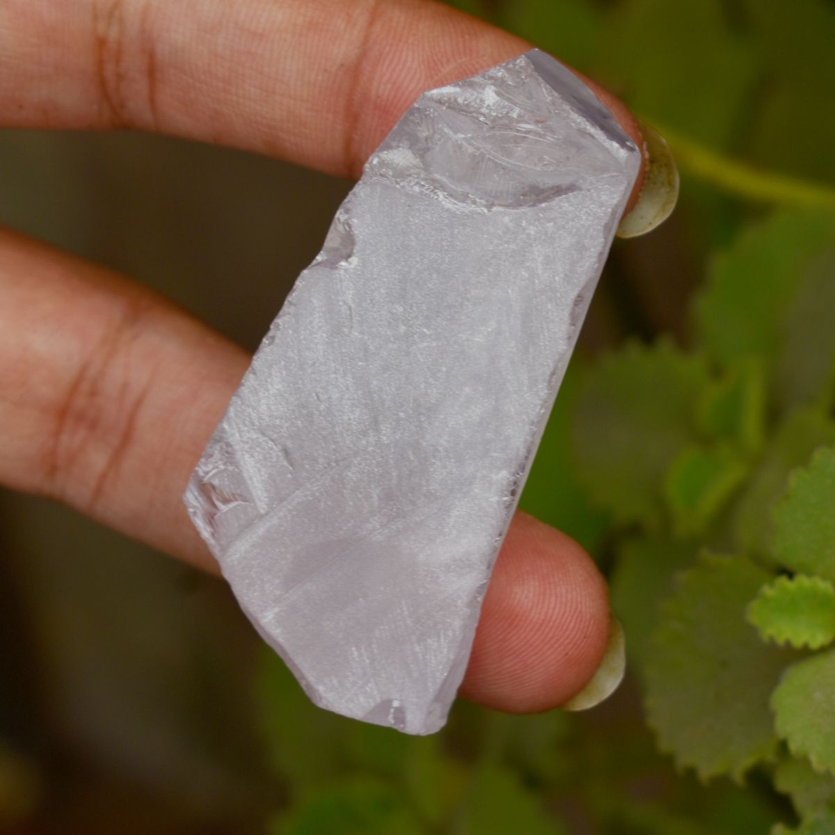 Certified White Zircon Uncut White Rough Zircon Loose Gemstone 217.75 Ct Natural