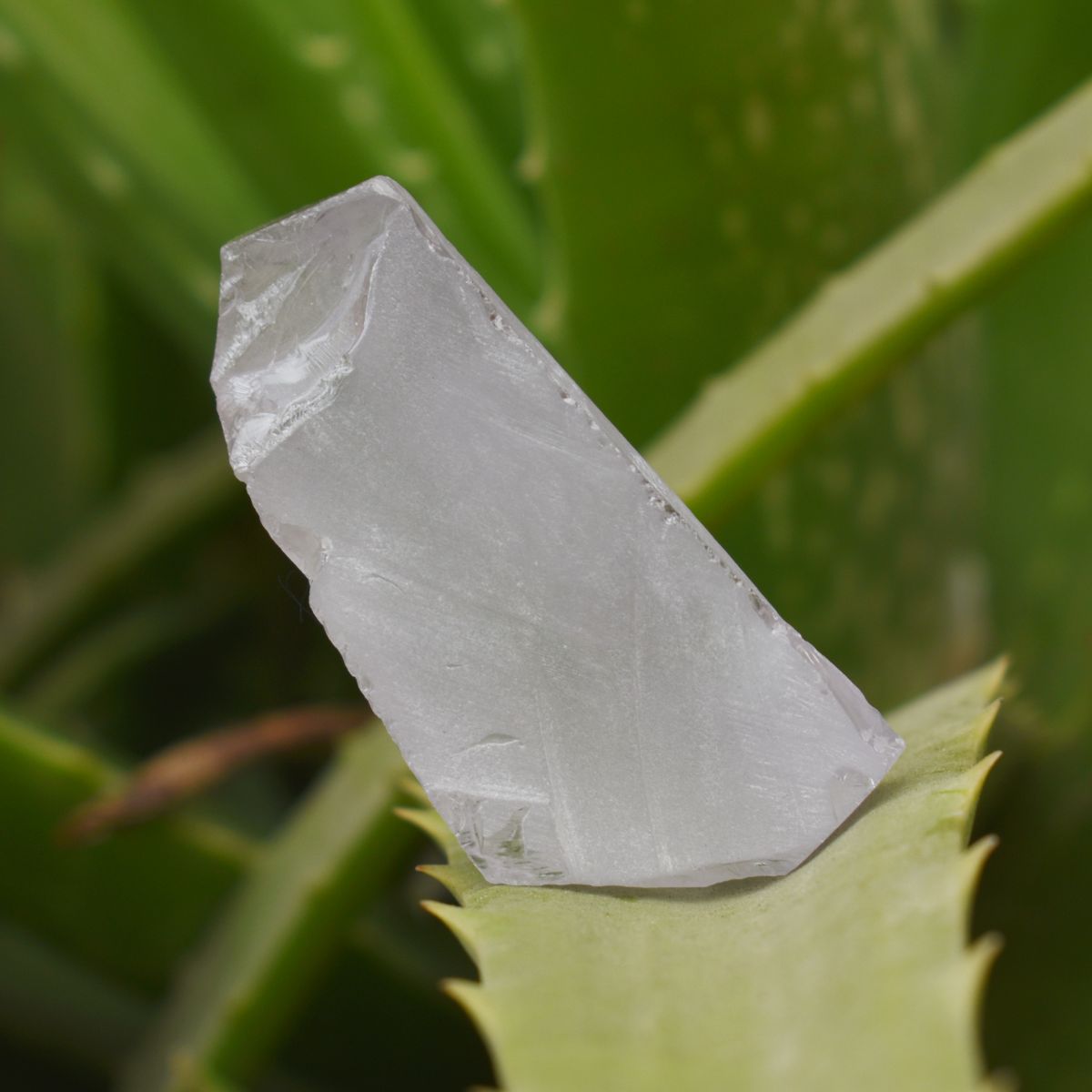 Certified White Zircon Uncut White Rough Zircon Loose Gemstone 217.75 Ct Natural