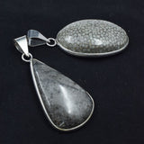 88.70 Ct Natural Morocco Fossil Coral Pair Healing 925 Sterling Silver Pendant