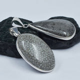 88.70 Ct Natural Morocco Fossil Coral Pair Healing 925 Sterling Silver Pendant