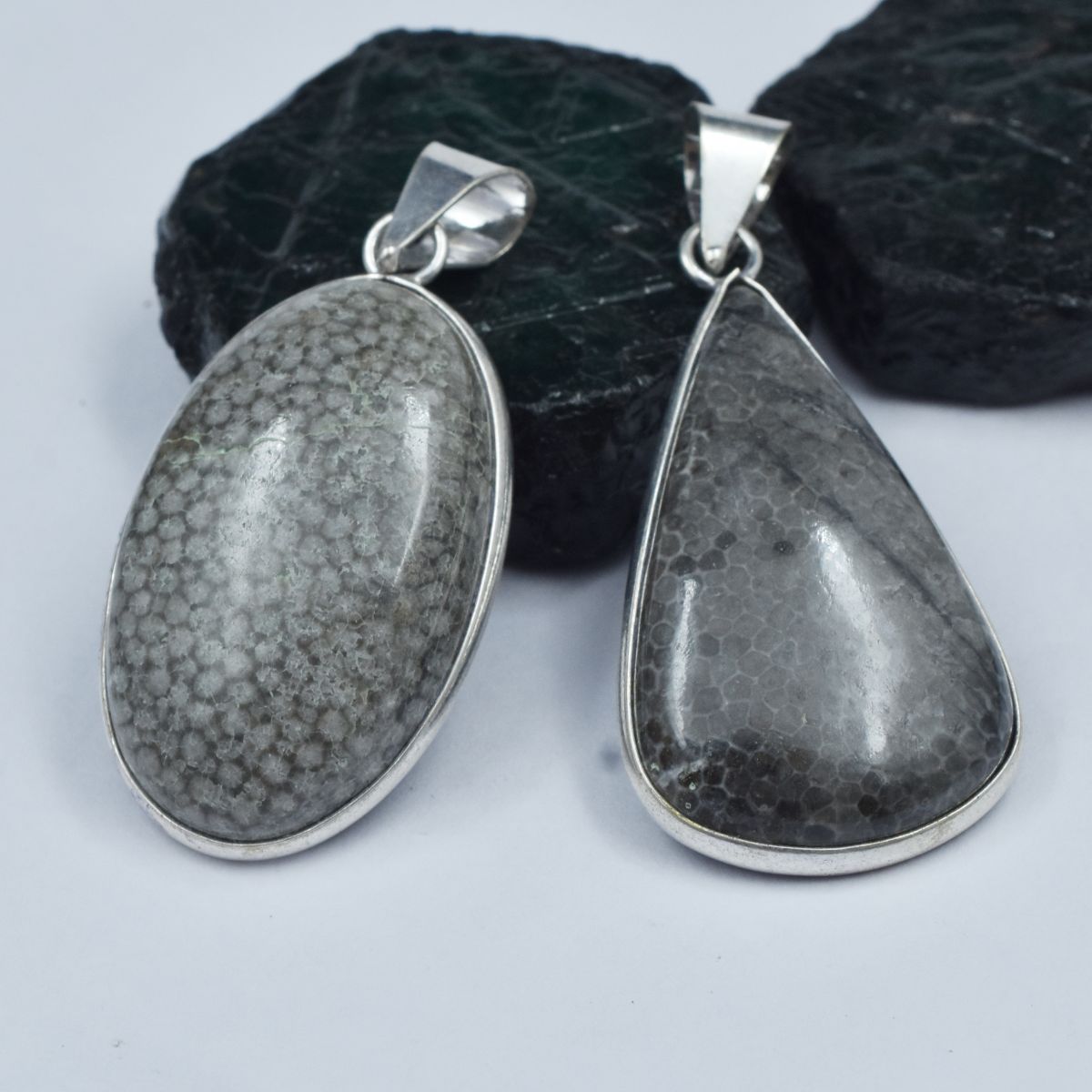 88.70 Ct Natural Morocco Fossil Coral Pair Healing 925 Sterling Silver Pendant