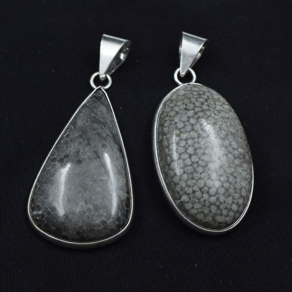 88.70 Ct Natural Morocco Fossil Coral Pair Healing 925 Sterling Silver Pendant