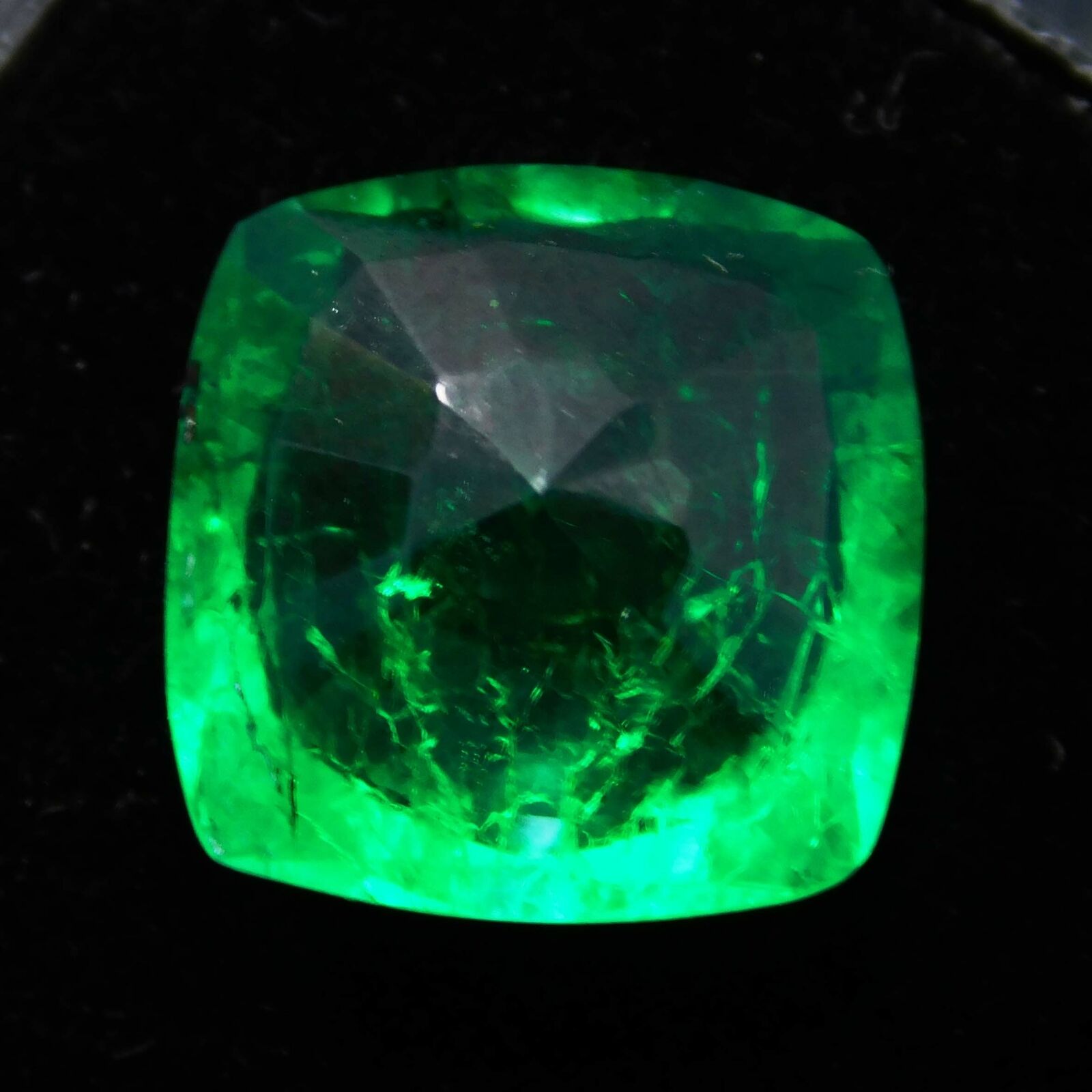 6.00 Ct Natural GREEN Emerald SQUARE Cushion Cut CERTIFIED Loose Gemstone