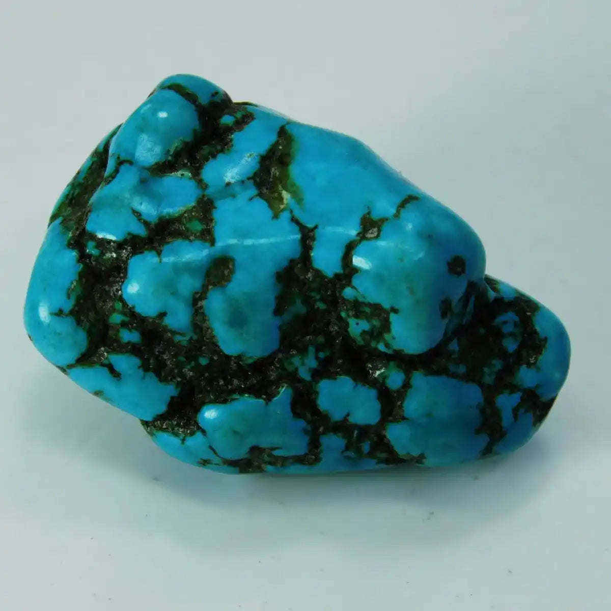 Turquoise stone with black veins on a light gray background