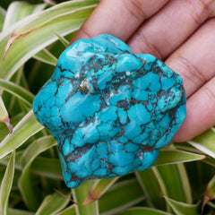 Natural Turquoise Blue 364.85 Ct Uncut Raw Rough Supreme Quality Gemstone