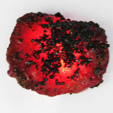 Natural Red Ruby 113.95 Carat Huge Rough Earth Mined CERTIFIED Loose Gemstone