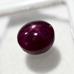 6.70 Ct Stunning Star Ruby Loose Gemstone Natural CERTIFIED RED Oval Shape