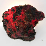 Natural Red RUBY Huge Rough 77.45 Ct Earth Mined CERTIFIED Loose Gemstone