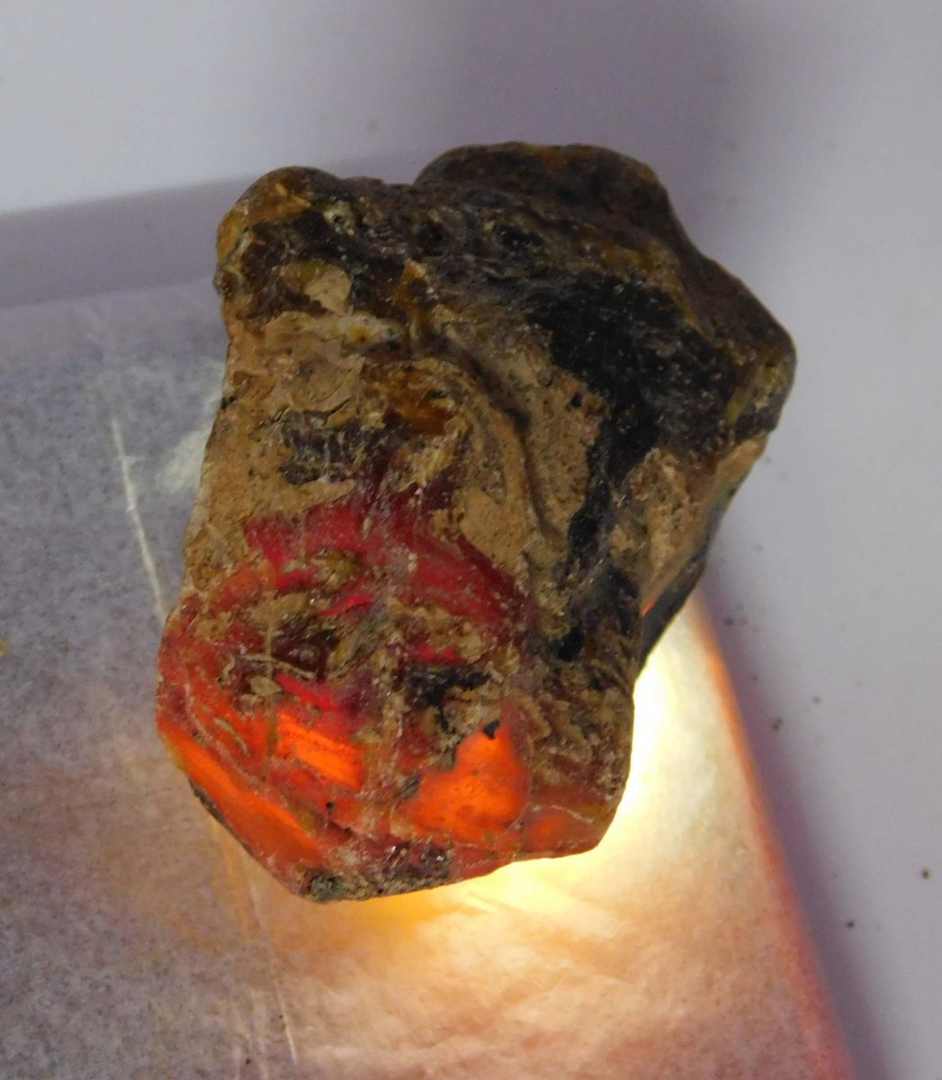 Natural Amber Rough Orange Uncut Rough 143 Carat CERTIFIED Loose Gemstone