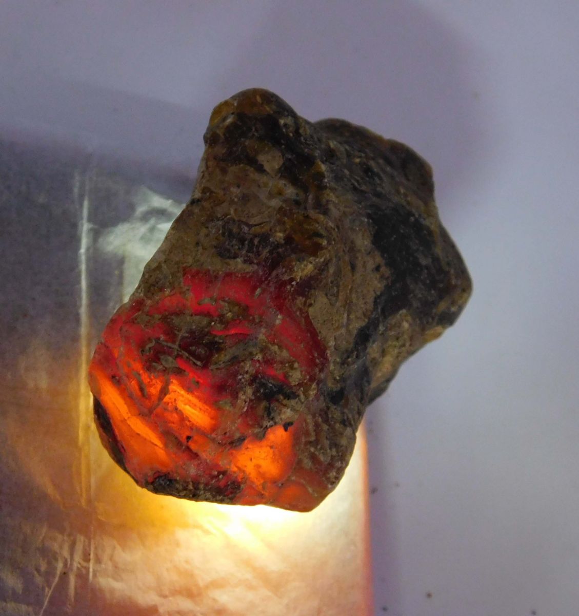 Natural Amber Rough Orange Uncut Rough 143 Carat CERTIFIED Loose Gemstone