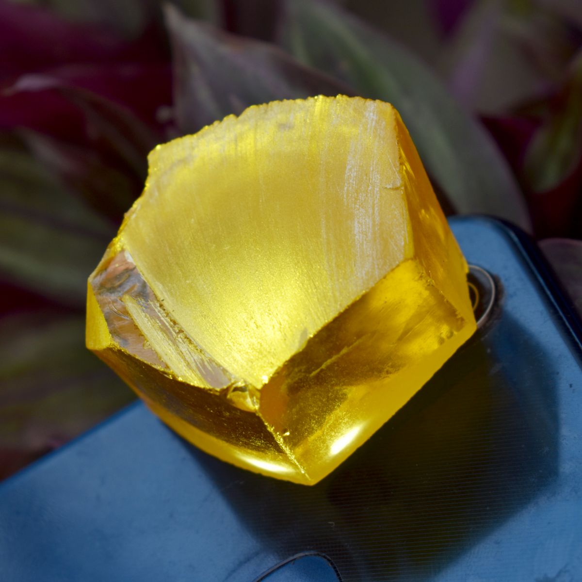 Uncut Raw Rough Natural Yellow Sapphire 293.75 Carat CERTIFIED Loose Gemstone