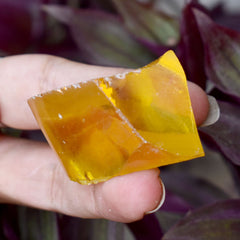 Uncut Raw Rough Natural Yellow Sapphire 293.75 Carat CERTIFIED Loose Gemstone