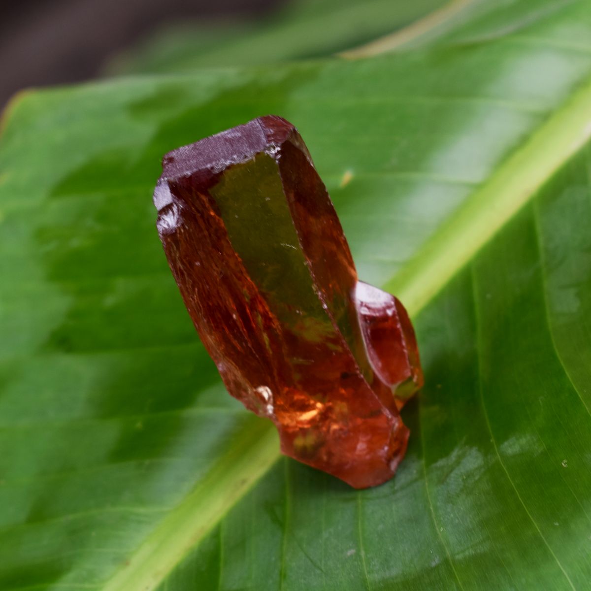 Uncut Rough Gemstone 283.85 Carat Natural Orange Sapphire CERTIFIED Raw Rough