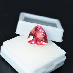 Padparadscha SAPPHIRE Trillion Cut 7.80 Ct NATURAL Rare Loose Gemstone CERTIFIED