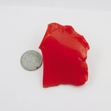 491.60 Ct Red Coral Italian Uncut Rough Natural CERTIFIED Loose Gemstone
