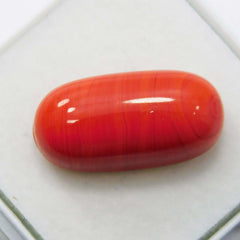 10.30 Ct Natural Italian Red Coral CERTIFIED Loose Gemstone Cabochon Cut.