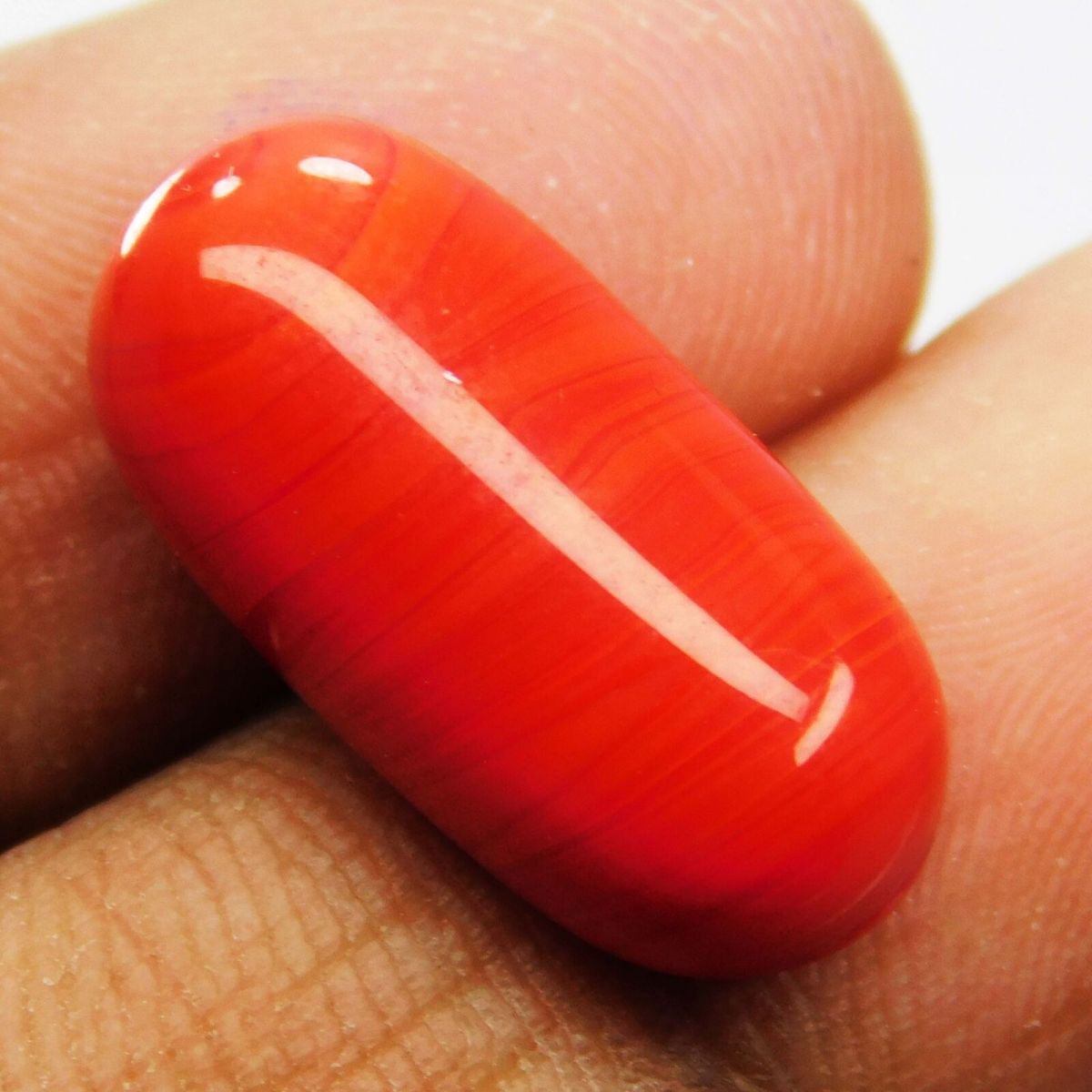 10.30 Ct Natural Italian Red Coral CERTIFIED Loose Gemstone Cabochon Cut.