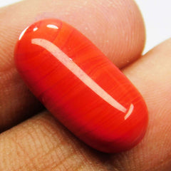 10.30 Ct Natural Italian Red Coral CERTIFIED Loose Gemstone Cabochon Cut.