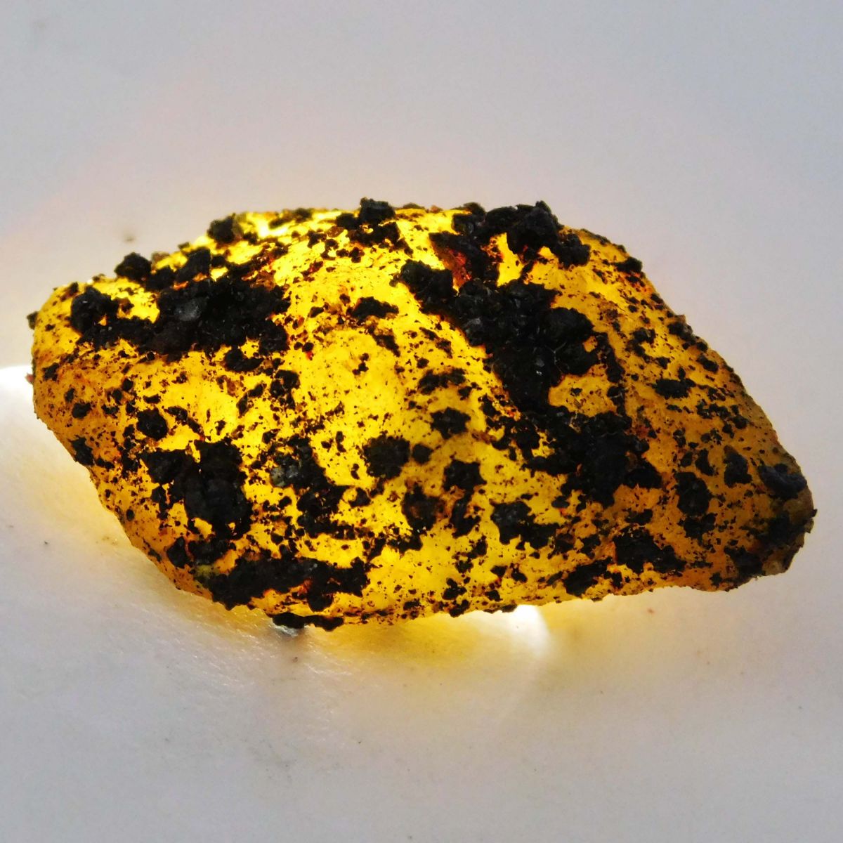 53 Ct Earth Mined Loose Gemstone Natural Yellow Sapphire CERTIFIED Huge Rough