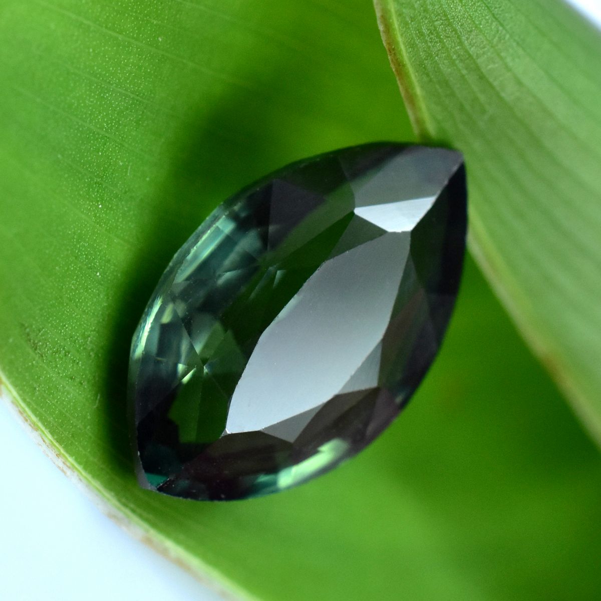 Deep Green Sapphire 6.80 Ct Natural CERTIFIED Loose Gemstone Marquise Cut