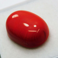 Natural 10 Ct Natural Cabochon Oval Cut Italian Red Coral Loose Gemstone