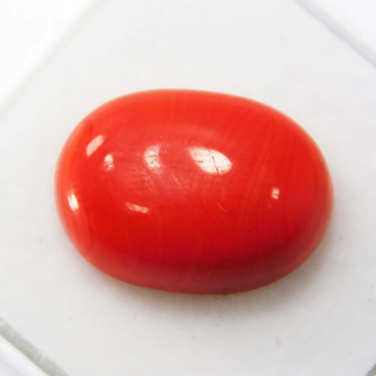 10 Ct Natural Red Coral Italian Cabochon Oval Cut Loose Gemstone