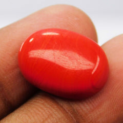 10 Ct Natural Red Coral Italian Cabochon Oval Cut Loose Gemstone